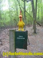 /home//u458753944/public_html/sourcegallery/////////////////////Chickens/Valley Forge/P1060799.JPG